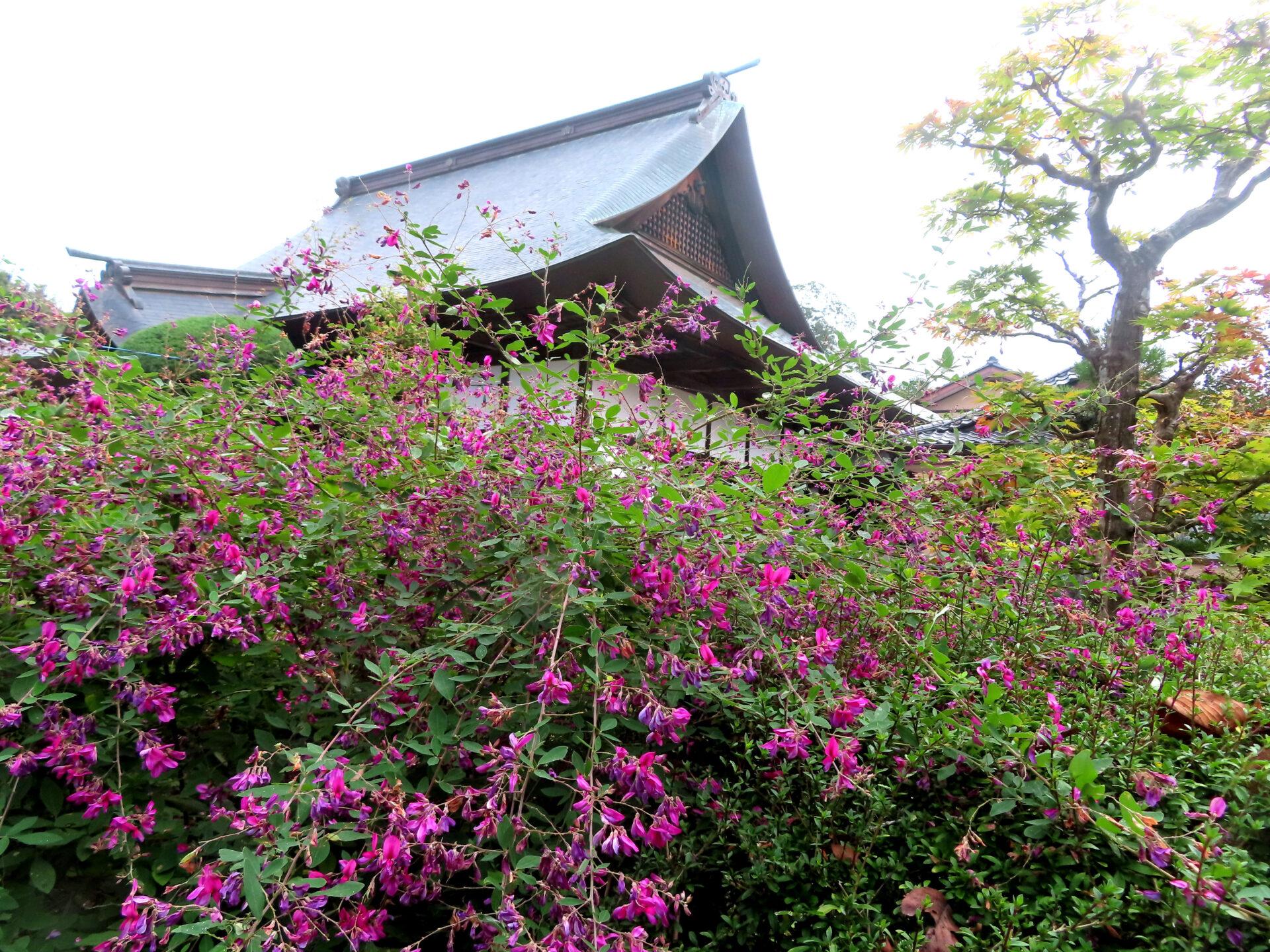 2025年10月1日 (水) 画像